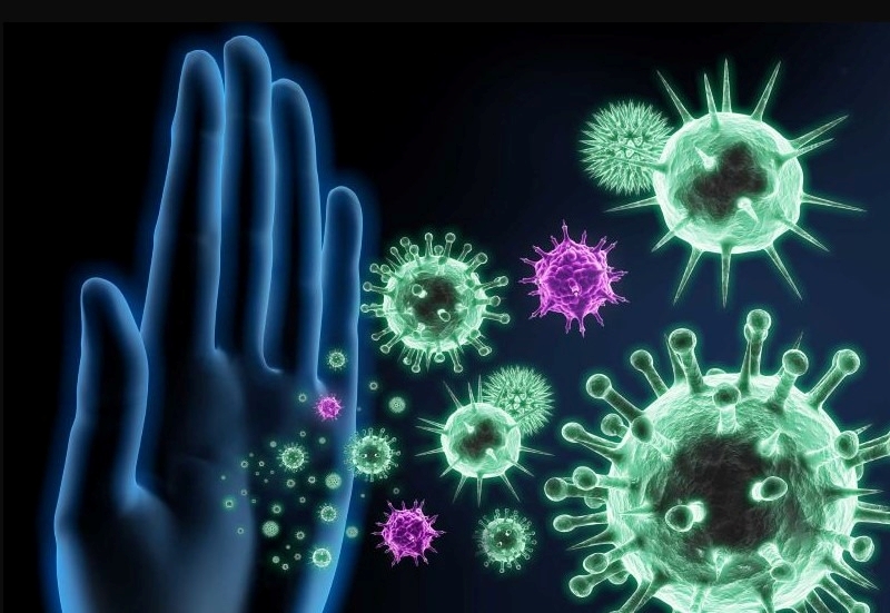 Nhung hươu cắt lát: Khám phá những lợi ích tuyệt vời